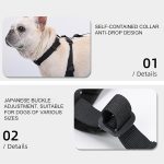 Frenchie-boot-2.jpg