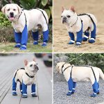 Frenchie-boot-2.jpg