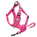 www.frenchie.shop-Pawtify-No-Pull-Frenchie-Harness-Explosion-Proof-Vest.jpg