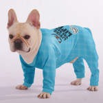 P3_3a4e74d6-c9ac-4f3f-9af0-0816f1fdef74.png