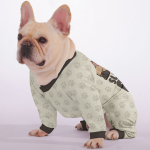 P3_c3992562-f83b-49d3-b7cb-9ea0a7ec311a.png
