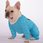 P3_3a4e74d6-c9ac-4f3f-9af0-0816f1fdef74.png