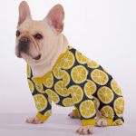 P4_9054d20f-37b2-43d0-806c-6500a790cff3.png