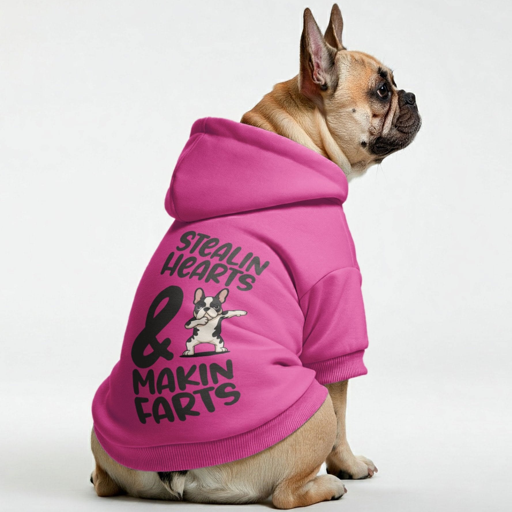 Personalized_French_Bulldog_Hoodies_with_Funny_Quotes_Stylish_Cozy_and_Premium_100_Cotton.jpg