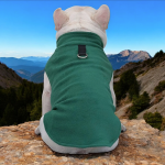 www.frenchie.shop-The-Dog-Face-Frenchi-Jacket-Premium-Fleece-for-Cold-Weather_51b3a548-310e-4367-a0e3-5fd2ce36db89.jpg