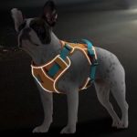 www.frenchie.shop-GlowSafe-No-Pull-Frenchie-Harness-Reflective-Training-Vest.jpg