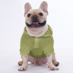 hoodie-5_ac615524-d393-4b95-b947-d28d05b0fcd3.jpg