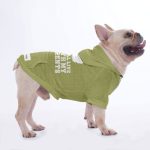hoodie-5_ac615524-d393-4b95-b947-d28d05b0fcd3.jpg