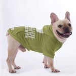 hoodie-5_ac615524-d393-4b95-b947-d28d05b0fcd3.jpg