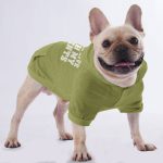 hoodie-5_ac615524-d393-4b95-b947-d28d05b0fcd3.jpg
