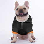 hoodie_5_copyw.png