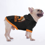 hoodie_5_copyw.png