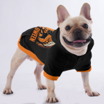 hoodie_5_copyw.png