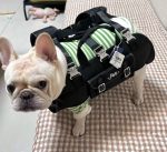 www.frenchie.shop-CarryPaw-Frenchie-Side-Carry-Backpack-1.jpg