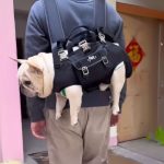 www.frenchie.shop-CarryPaw-Frenchie-Side-Carry-Backpack-1.jpg