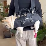 www.frenchie.shop-CarryPaw-Frenchie-Side-Carry-Backpack-1.jpg