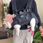 www.frenchie.shop-CarryPaw-Frenchie-Side-Carry-Backpack-1.jpg