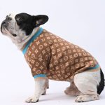 www.frenchie.shop-ChillGuard-Frenchie-Winter-Sweater-with-Cute-Design-1.jpg