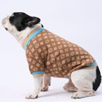 www.frenchie.shop-ChillGuard-Frenchie-Winter-Sweater-with-Cute-Design-1.jpg