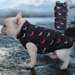 www.frenchie.shop-EverPeak-Ultimate-Warmth-Puffer-Jacket-for-French-Bulldogs.jpg