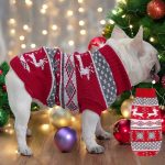 www.frenchie.shop-Festive-Frenchie-Christmas-Sweater-1.jpg