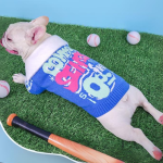 www.frenchie.shop-French-Bulldog-Sporty-Winter-Sweater.png