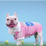 www.frenchie.shop-French-Bulldog-Sporty-Winter-Sweater.png