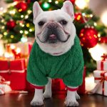 www.frenchie.shop-Frenchie-Coral-Fleece-Christmas-Sweater-Festive-Reindeer-Holiday-Apparel-for-Dogs-1.jpg