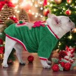 www.frenchie.shop-Frenchie-Coral-Fleece-Christmas-Sweater-Festive-Reindeer-Holiday-Apparel-for-Dogs-1.jpg