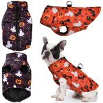 www.frenchie.shop-Frenchie-Halloween-Winter-Jacket-with-Pumpkin-Print-Cozy-and-Festive-1.jpg