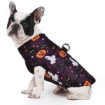 www.frenchie.shop-Frenchie-Halloween-Winter-Jacket-with-Pumpkin-Print-Cozy-and-Festive-1.jpg