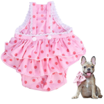 www.frenchie.shop-Frenchie-Menstrual-Panties-Washable-Dot-Print-Diaper.png