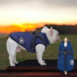 www.frenchie.shop-FrostGuard-Winter-Waterproof-Frenchie-Harness-Jacket.jpg