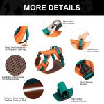 www.frenchie.shop-GlowSafe-No-Pull-Frenchie-Harness-Reflective-Training-Vest.jpg