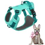 www.frenchie.shop-GlowSafe-No-Pull-Frenchie-Harness-Reflective-Training-Vest.jpg