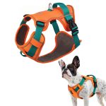 www.frenchie.shop-GlowSafe-No-Pull-Frenchie-Harness-Reflective-Training-Vest.jpg