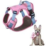 www.frenchie.shop-GlowSafe-No-Pull-Frenchie-Harness-Reflective-Training-Vest.jpg