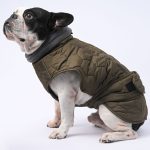 www.frenchie.shop-IceShield-Frenchie-Winter-Snowsuit-with-Reflective-Design.jpg
