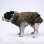 www.frenchie.shop-IceShield-Frenchie-Winter-Snowsuit-with-Reflective-Design.jpg