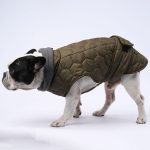 www.frenchie.shop-IceShield-Frenchie-Winter-Snowsuit-with-Reflective-Design.jpg