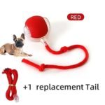 www.frenchie.shop-Interactive-Pet-Ball-Frenchie-Teaser-Automatic-Rolling-Toy-for-Endless-Fun-green.jpg