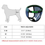 www.frenchie.shop-Leak-Proof-Frenchie-Diaper-Hygienic-Panties-for-Ultimate-Comfort-main.png