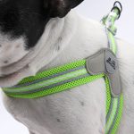 www.frenchie.shop-PawGrip-No-Pull-Frenchie-Harness-with-Leash-5.jpg