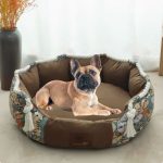 www.frenchie.shop-PawHaven-Soft-Frenchie-Bed-Comfortable-and-Stylish-Sleep-Solution-for-French-Bulldog.jpg