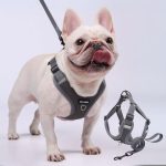 www.frenchie.shop-Pawzen-Frenchie-No-Pull-Harness-with-Explosion-Proof-Design.jpg