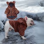 www.frenchie.shop-Premium-French-Bulldog-Bear-Hoodies-1.jpg