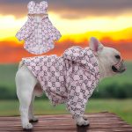 www.frenchie.shop-Premium-French-Bulldog-Bear-Hoodies-1.jpg