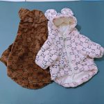 www.frenchie.shop-Premium-French-Bulldog-Bear-Hoodies-1.jpg