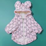 www.frenchie.shop-Premium-French-Bulldog-Bear-Hoodies-1.jpg