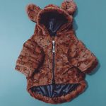 www.frenchie.shop-Premium-French-Bulldog-Bear-Hoodies-1.jpg